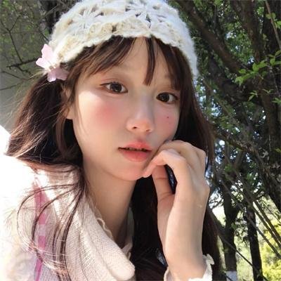 野狗们